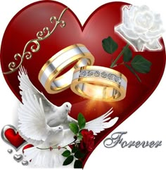 two wedding rings on top of a red heart with white doves flying around them