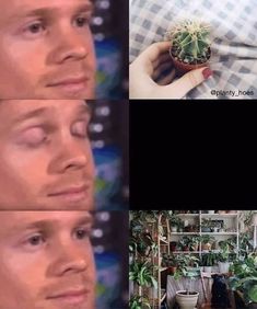 three pictures of a man holding a potted plant in front of his face, and the same photo of him with different facial expressions