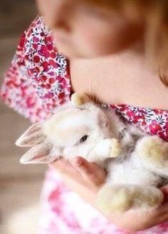 Somebunny Loves You, Red Cottage, All Things Cute, Baby Bunnies, Hamsters, Cuteness Overload, Cute Bunny, Beautiful Creatures, Animal Pictures