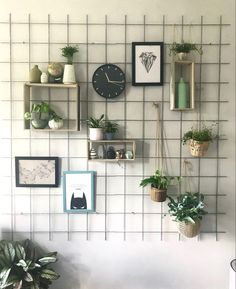 there are many plants and pictures on the wall