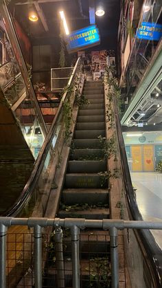 an escalator with plants growing on it