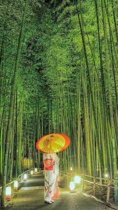 a woman with an umbrella walks through a bamboo forest at night, surrounded by lanterns