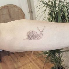 a small snail tattoo on the arm