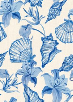 blue flowers and seashells on a white background