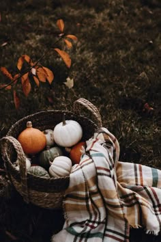 a basket filled with pumpkins sitting on top of a grass covered field