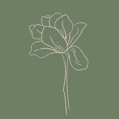 a drawing of a flower on a green background