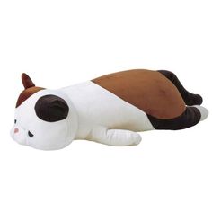 a brown and white cat laying on its side