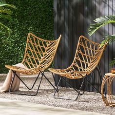 two chairs sitting next to each other in front of a wall with plants on it