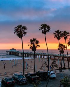 cars are parked on the beach in front of palm trees and a pier at sunset