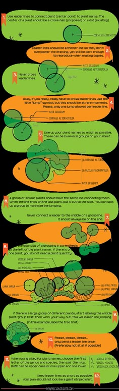 an info sheet describing how to use labels for plants and water lilies in the pond