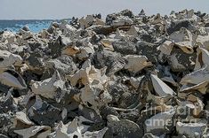 a pile of rocks near the ocean on a sunny day with blue water in the background