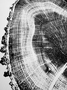 a piece of wood that has been cut in half and is being used as a background