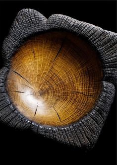 an eyeball is shown in the center of a piece of wood with dark background