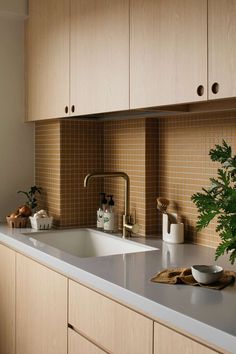 a kitchen with wooden cabinets and white counter tops is pictured in this image, there are plants on the counter