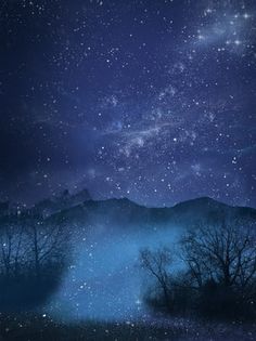 the night sky is filled with stars and trees