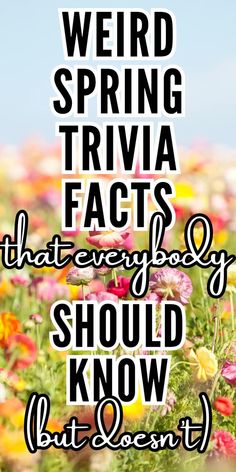 the words weird spring trivia fact that every body should know but doesn't