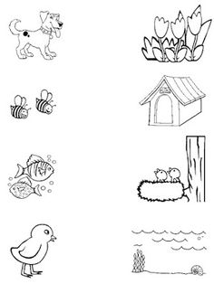 an animal worksheet for kids to learn how to draw and color animals in the water