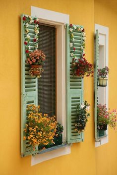 two windows with green shutters filled with flowers