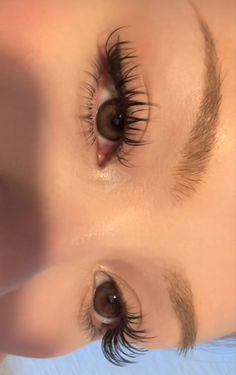 Lashing Techniques, Eyelash Growth Cycle, Eye Lashes Extensions, Eye Lash Extensions, Lashes Extensions