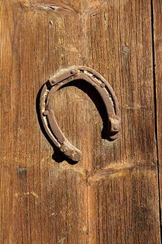 1890s Western Aesthetic, Horseshoe Aesthetic, Woody Aesthetic, Horse Icon, Aesthetic Horse, Ranch Photography, Cowgirl Era, Adam Young, Bring Good Luck