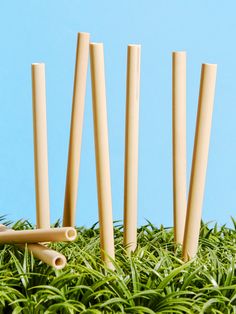 four wooden sticks sticking out of the grass next to each other on a blue background