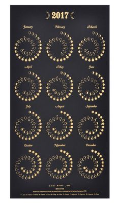 a black and gold poster with circles on the front, in different sizes and colors