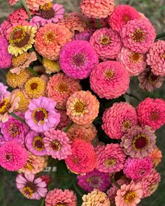 a bunch of pink and yellow flowers in a vase