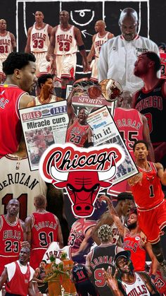 chicago bulls collage with basketball players and fans