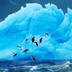 penguins flying over an iceberg in the ocean