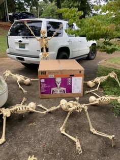 the skeleton is sitting on the ground next to a box