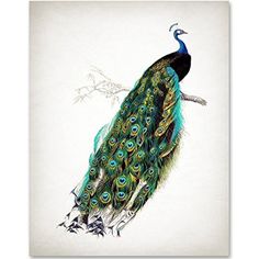 an image of a peacock on a branch with the words handmade at amazon below it