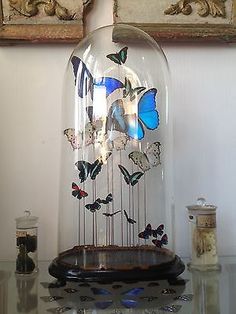 a glass clock with butterflies in it on top of a table next to two framed pictures