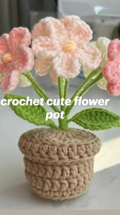 crochet cute flower pot with pink and white flowers in it sitting on a table