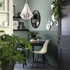 a dining room with green walls and plants in the corner, hanging from hooks on the wall