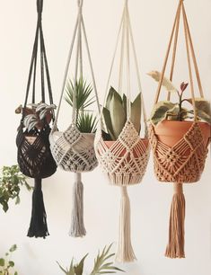 macrame plant hangers with plants in them