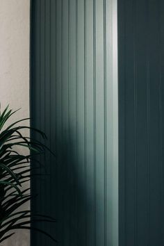 a potted plant sitting in front of a green door with vertical stripes on it