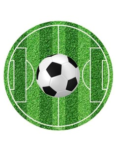 a soccer ball sitting on top of a field with green grass in the background photo