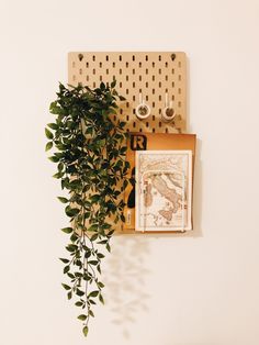 a green plant is hanging on the wall next to a wooden board with a map