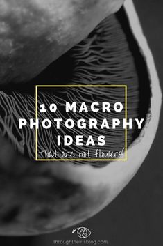 a black and white photo with the words 30 macro photography ideas