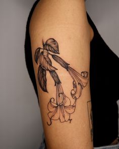 Flowers in format of a trumpet that calls ANgel`s trumpet. Angels Trumpet Tattoo, Angel Trumpet Tattoo, Trumpet Vine Tattoo, Trumpet Flower Tattoo, Angels Trumpet Flower, Trumpet Tattoo, Brunch Flowers, Breathing Art, Angels Trumpet