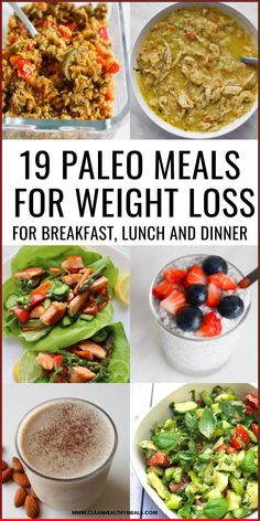 Easy healthy paleo diet recipes for breakfast, lunch, dinner and dessert that can help you lose weight and get fit! Fat Adapted Meal Plan, Losing Weight With Paleo Diet, Paleo Meals Easy, Paleo Lunches For Work, Healthy Meals Chicken, Paleolithic Diet Recipes, Easy Paleo Meal Plan, Chicken Recipes Paleo, Easy Diet Recipes