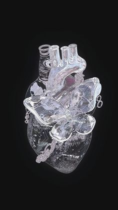 a heart shaped glass container with two bottles inside it on a black background, in the shape of a human heart