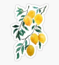 a sticker with some lemons hanging from it's branches and green leaves