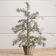 a small pine tree in a wicker basket on a wooden table next to a white wall