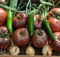 several tomatoes, onions, and green peppers are on display