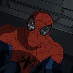 spider - man from the animated series