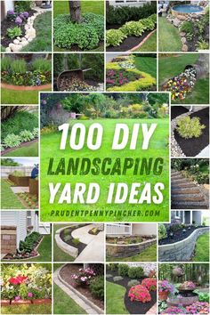 many different types of landscaping are shown in this collage with the words, 100 diy landscaping yard ideas