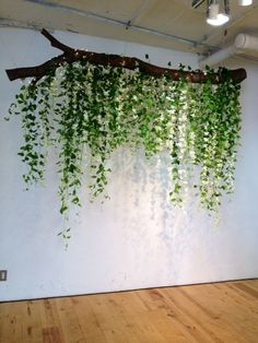 a plant hanging on the wall next to a wooden floor