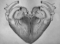 a drawing of two bears in the shape of a heart