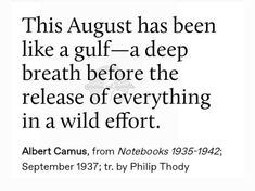 a quote from albert camus on the subject of his book, this august has been like a gulf - a deep breath before the release of everything in a wild effort